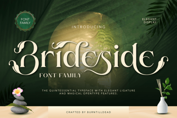 Brideside: A Display Serif Font for Campaign Design